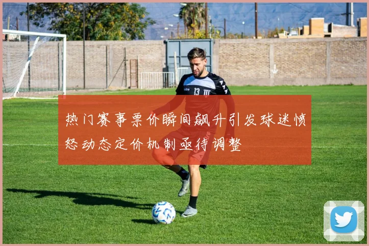 热门赛事票价瞬间飙升引发球迷愤怒动态定价机制亟待调整
