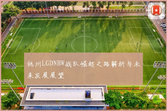 杭州LGDNBW战队崛起之路解析与未来发展展望
