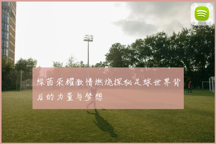 绿茵荣耀激情燃烧探秘足球世界背后的力量与梦想