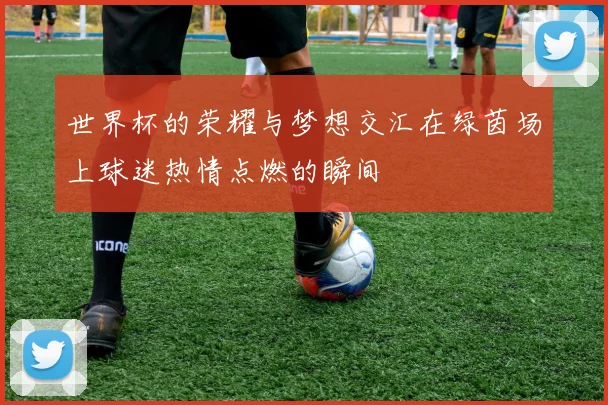 世界杯的荣耀与梦想交汇在绿茵场上球迷热情点燃的瞬间