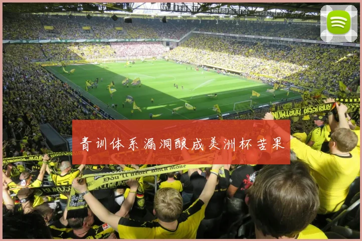 青训体系漏洞酿成美洲杯苦果