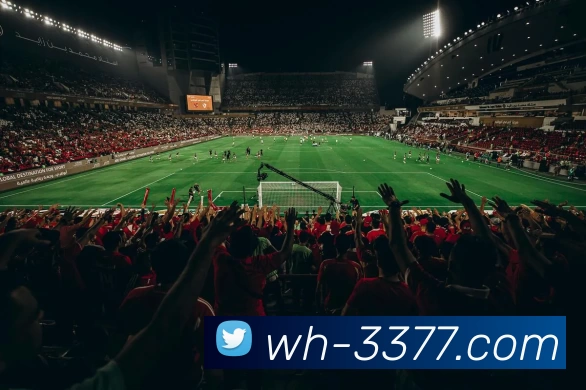 3377APP 体育赛事宣传图